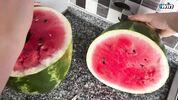 Доброжелательная соседка просит помощи у незнакомца и благодарит его вкусным кремовым пирогом 