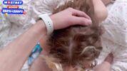 ��есткое удушье и оргазм: красивая девушка трахается в жестком видео - YourSofia 